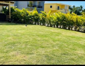 un pájaro parado en el césped en un patio en The Green Palms 5 Bedroom villa with pool / garden, en San Felipe de Puerto Plata