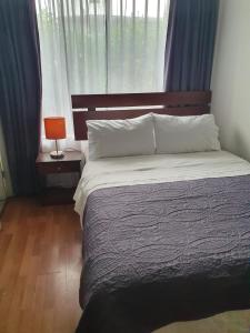 Imagen de la galería de Hostal del Rio, en Concepción