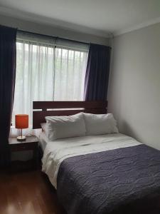 Imagen de la galería de Hostal del Rio, en Concepción