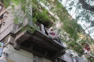 un chien assis sur un balcon d'un bâtiment dans l'établissement New Midtown, au Caire