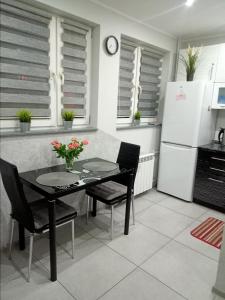 Kuchyňa alebo kuchynka v ubytovaní Apartament Zibi