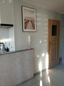 Kuchyňa alebo kuchynka v ubytovaní Apartament Zibi