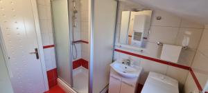 Koupelna v ubytování Apartments Ćosic