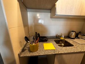 a kitchen counter with a sink and a bucket of utensils at Aires del Sur in San Miguel de Tucumán