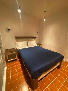 a bedroom with a bed with a blue blanket on it at Cuarto Casa Alebrije in Valle de Bravo