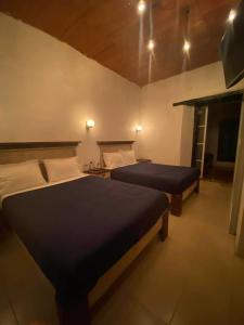a bedroom with two beds in a room at Cuarto Casa Alebrije in Valle de Bravo