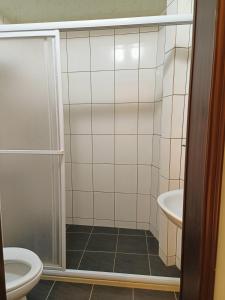 a bathroom with a shower and a toilet at 路邊望海 in Jiufen