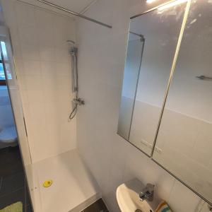Kúpeľňa v ubytovaní Apartments ChezTom Nenzing
