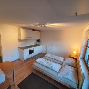Kuchyňa alebo kuchynka v ubytovaní Apartments ChezTom Nenzing
