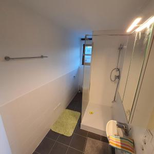 a bathroom with a shower and a sink at Apartments ChezTom Nenzing in Nenzing