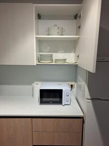 a microwave sitting on a counter in a kitchen at RESIDENZA CADORINA in Calalzo