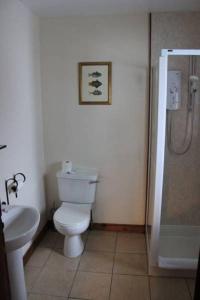 Craignure Inn في كريغنور: حمام مع مرحاض ومغسلة ودش