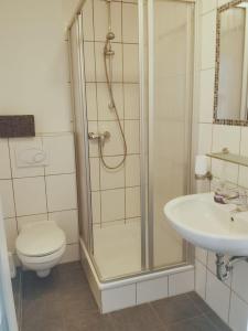 a bathroom with a shower and a toilet and a sink at Stedinger Landhotel & Café in Berne