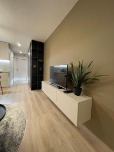 TV a/nebo společenská místnost v ubytování Apartmány Luxor Zemplínska Šírava