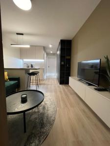 TV a/nebo společenská místnost v ubytování Apartmány Luxor Zemplínska Šírava
