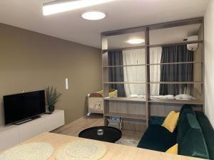 TV a/nebo společenská místnost v ubytování Apartmány Luxor Zemplínska Šírava