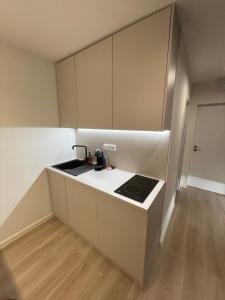 Kuchyň nebo kuchyňský kout v ubytování Apartmány Luxor Zemplínska Šírava