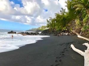 a person walking on a black beach with footprints in the water at Puna Pod in Pahoa