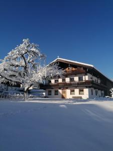 een met sneeuw bedekte boom voor een gebouw bij Kienberghof in Reith im Alpbachtal