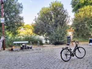 Jízda na kole v ubytování Triana Procurador con Terraza Privada nebo okolí