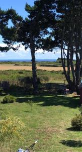 un parque con un árbol y un banco en el césped en La Korrigane en Groix