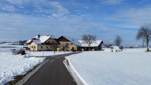 una casa en una carretera cubierta de nieve frente a una casa en Gästehaus Lipnik, en Sankt Kanzian