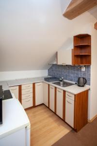 Kuchyň nebo kuchyňský kout v ubytování Apartmány NaVyhlídce