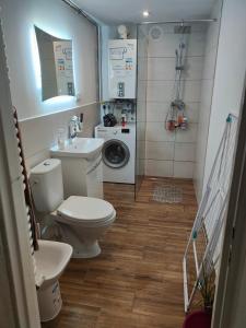 a bathroom with a toilet and a sink and a washing machine at POD BZEM in Szczytna