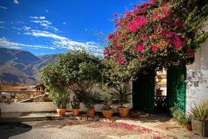 un gruppo di piante e fiori su un edificio di Casa Jazmin a Órgiva