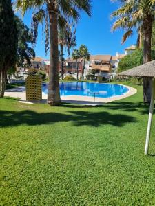 una piscina in un cortile con palme di apartamento playa la barrosa a Chiclana de la Frontera