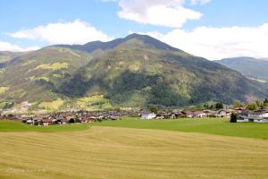 Paesaggio naturale nelle vicinanze dell'appartamento