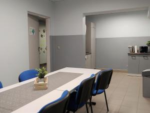 Krasiejów的住宿－Noclegi JuraPark Krasiejów，一间会议室,配有桌子和蓝色椅子