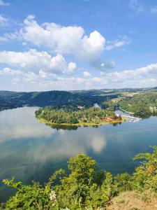 z powietrza widok na duże jezioro z drzewami w obiekcie Chata Slapy - Ždáň w mieście Slapy