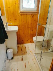 a bathroom with a shower and a sink and a toilet at Chata Slapy - Ždáň in Slapy