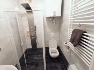 y baño pequeño con aseo y ducha. en Panorama Appartements Binter No. 1 en Hermagor