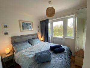 a bedroom with a bed with blue pillows on it at BAYVIEW self-catering coastal bungalow in rural West Wight in Freshwater