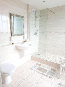 a bathroom with a toilet and a sink and a shower at The Quarry House in Carlingford