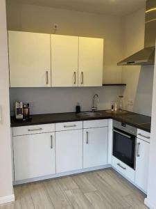 een keuken met witte kasten en een wastafel bij Schöne Ferienwohnung im Ergeschoss mit Terrasse in Ahaus