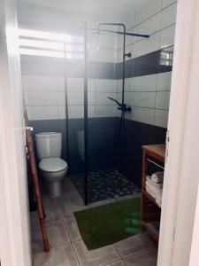 uma casa de banho com um WC e uma cabina de duche em vidro. em Location tropical em Sainte-Anne
