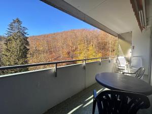 巴特哈爾茨堡的住宿－Waldblick - Bad Harzburg inklusive Schwimmbad und Sauna，阳台的天井配有桌椅