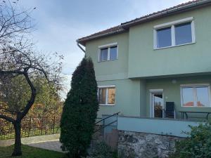 una casa verde con un árbol delante en FLH - Wadema Villa en Sibiu