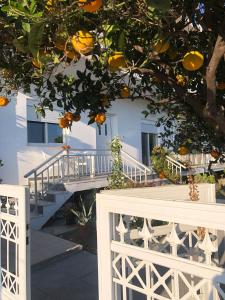 una casa bianca con scale e un albero arancione di Lemon tree's house a Kalavárda