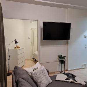 TV a/nebo společenská místnost v ubytování Lakeland Apartments