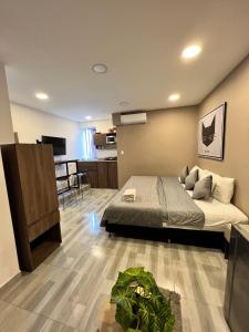 ein Schlafzimmer mit Bett und ein Wohnzimmer in der Unterkunft Hermosa Habitación cerca al Centro histórico in Cartagena de Indias + 10 Fotos