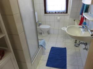 a bathroom with a shower and a sink and a toilet at Traumblick Am Bartelsborn in Kleinern