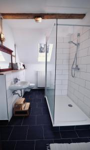 a bathroom with a glass shower and a sink at Familienferienhaus "Zur Alten Wäscherei" in Schmiedefeld am Rennsteig