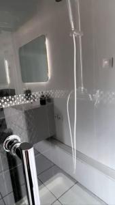 La salle de bains est pourvue d'une porte de douche en verre avec un miroir. dans l'établissement Grande Maison Métropole Lilloise, à Seclin