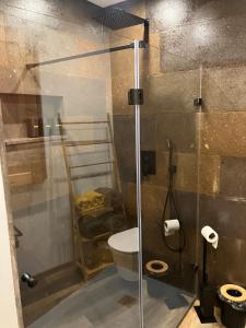 a bathroom with a toilet and a glass shower at Casa da Vinha Escondida AL in Biscoitos