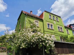 a green house with a flowering tree in front of it at Auszeit in Freital
