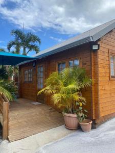 una casa de madera con palmeras delante en Le Chalet d'EVOA, en Étang-Salé